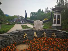 -武清南湖绿博园