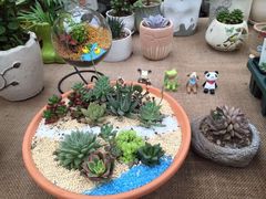 -秦美花卉(天朗·莱茵小城2期店)