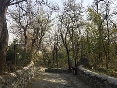 -阳台山自然风景区