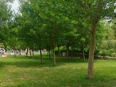 -西部长青自然儿童乐园