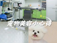 -宠福鑫动物医院·动物疾病诊疗中心(天通苑店)