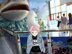 -多彩贵州城极地海洋世界