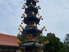 -龙口南山旅游景区