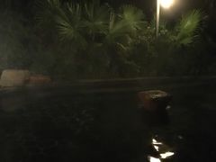 -韶关经律论国际酒店温泉