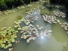 -上海浦江郊野公园-5号停车场