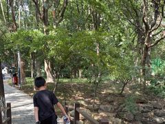 -宝岩生态观光园