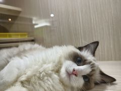 -光明广场