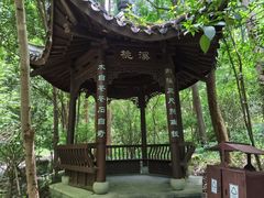 -杭州黄龙洞