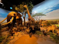 -陕西自然博物馆