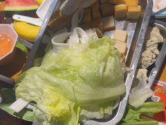 -成老灶火锅鸡(平山店)