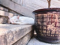 -宝通禅寺