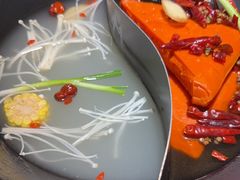 -阳阳老火锅(小南门店)