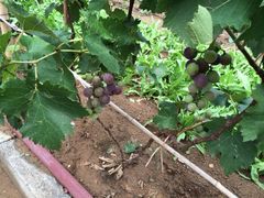 iphone_upload_pic-龙泉寺