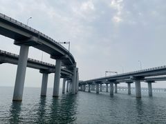 -星海湾跨海大桥