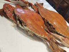 -渔民船说·北塘海鲜·天津菜·海肠捞饭(北塘古镇店)
