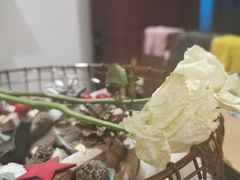 -肥朵食堂(带梦胡同店)