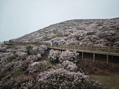 -乌蒙大草原