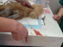 盛京一禾-盛京一禾