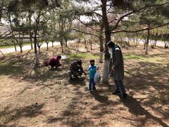 -大兴滨河森林公园