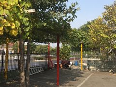-钰田大院·碳烤虹鳟鱼·怀柔地道农家菜(雁栖湖店)