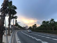 -宝安西湾红树林湿地公园