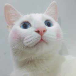 -HMC美容按摩SPA馆