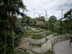 -新加坡飞禽公园