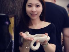 -藦茜花园宠物主题亲子互动体验馆(国顺东路店)