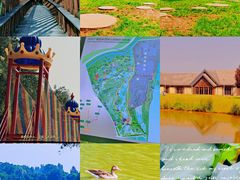 -西安浐灞国家湿地公园
