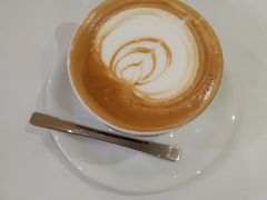 -滚猫咖啡·猫咖·猫友好撸猫(未来城店)