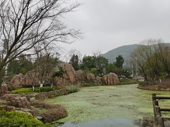 -白马涧龙池景区