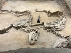 -洛阳周王城天子驾六博物馆