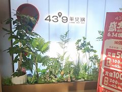 -蒙都43°9羊火锅(平庄店)