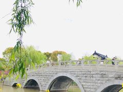 -南汇桃花村