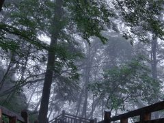 -陕西省红河谷森林公园