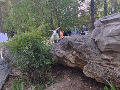 -洛阳市隋唐城遗址植物园