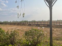 -呼兰河口湿地公园