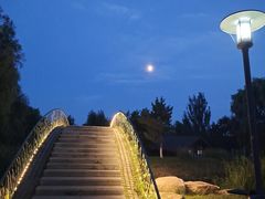-莫子山公园