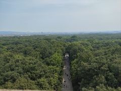 -灵谷景区