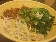 -安老太新疆第一碗(文艺路店)