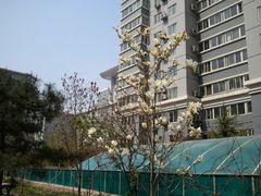-北京医院