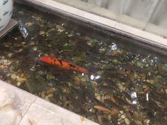 -渔民新村(番禺总店)