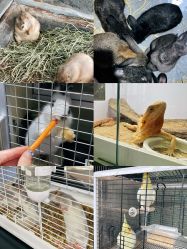 点击看大图 -Zoolung Zoolung动物主题公园(海信广场店)