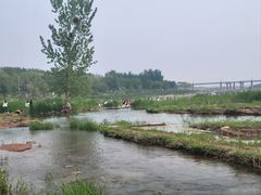 -绿堤公园