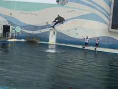 -北戴河圣蓝海洋公园