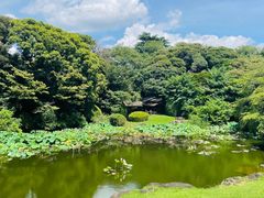 -东京国立博物馆