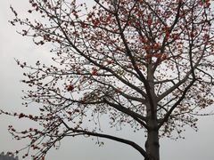-喜洲吧·江畔老船厂·庭院餐厅(喜临院店)