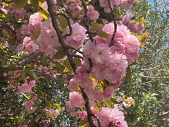 -苏州河梦清园环保主题公园