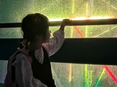 -幻彩摩天轮