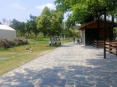 -黄陂区野村谷景区